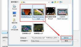 视频合并工具,一招掌握多种视频格式融合技巧